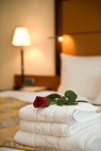 Aparthotel Premier Podgoriçe Oda fotoğraf